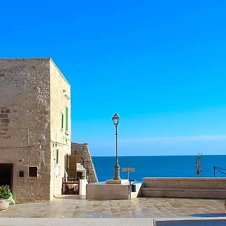 Bohemien Giovinazzo